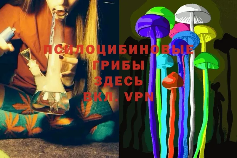 где купить   Старая Купавна  Галлюциногенные грибы Magic Shrooms 